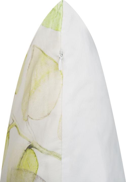 Produktbild Beliani Set mit 2 dekorativen Kissen 45 x 45 cm (45 x 45 cm)