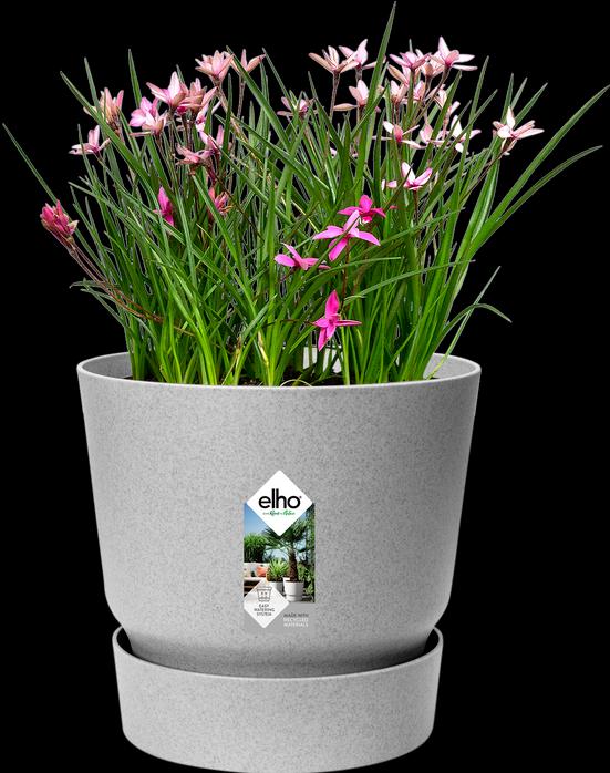 Produktbild Elho Greenville (14 cm)