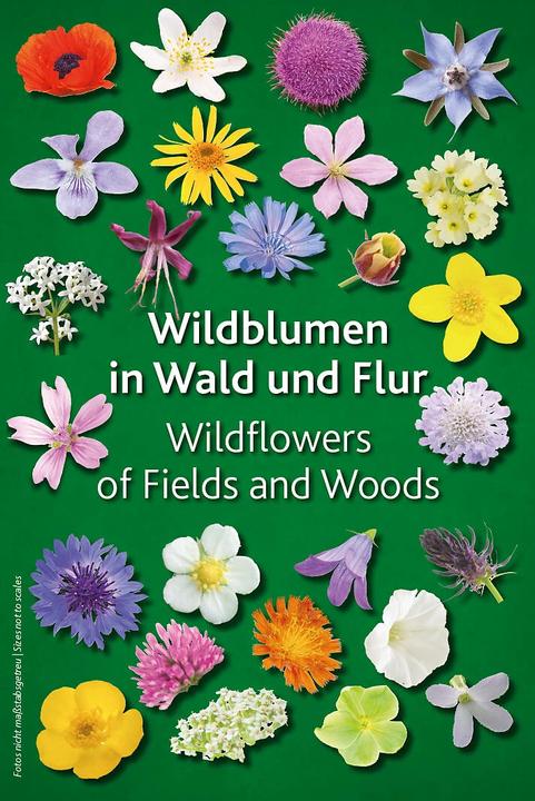 Actual product image Wildblumen in Wald und Flur (German, Keller-Krische, 2017)