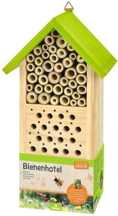 Productafbeelding Expeditie Natuur (Bijen)