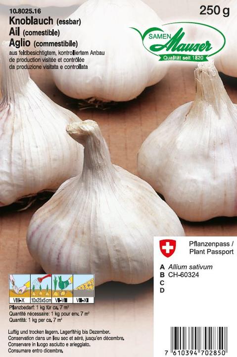 Immagine prodotto Samen Mauser Aglio (Pianta bulbosa)