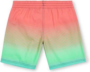 Produktbild O'Neill Jack Cali Gradient 14" Swim Shorts (152)