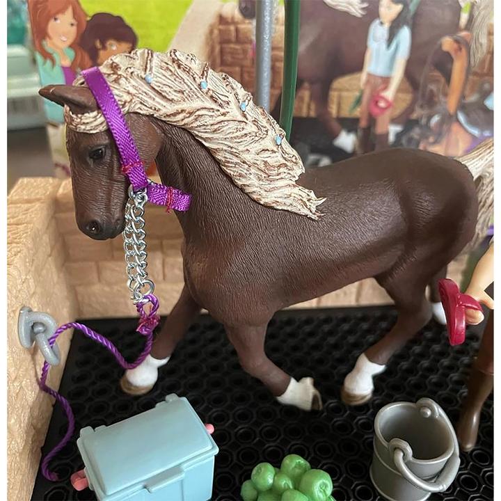 Immagine prodotto Schleich Box per il lavaggio dei cavalli con Emily e Luna di Hor