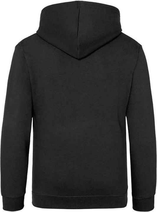 Image du produit Awdis - Sweat à capuche - Enfant (140, 146)
