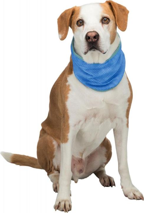 Actual product image Trixie Cooling bandana (S, Dog bandana)