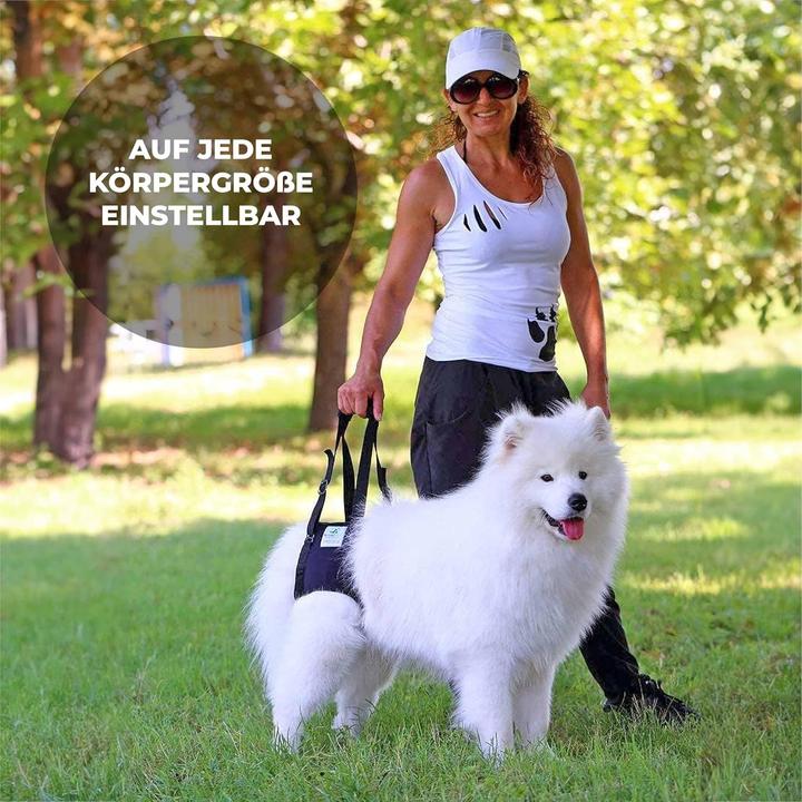 Produktbild Nature Pet Tragehilfe für Hunde hinten (XXL) (XXL, Hund, Allgemein)