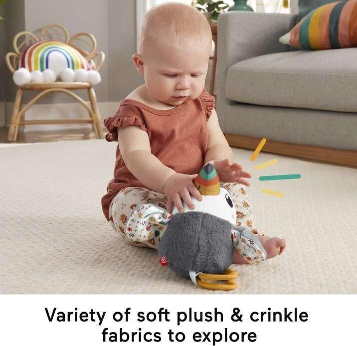 Image du produit Fisher-Price Toucan À Agiter Partout