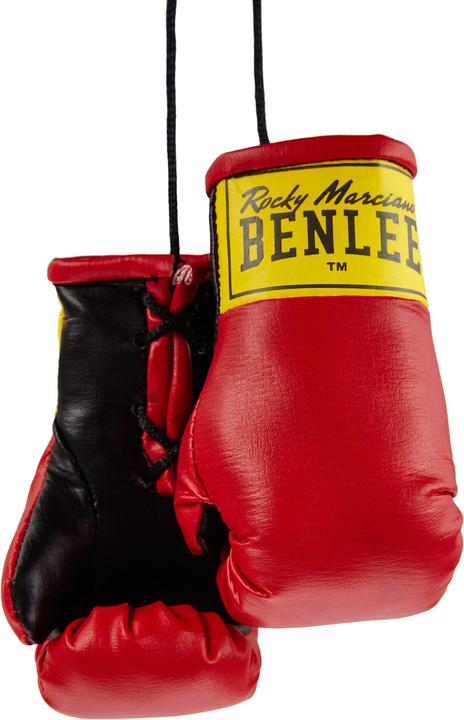 Benlee Mini Boxing Gloves (One Size)