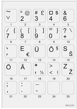 Actual product image Minipicto keyboard sticker KB-EU-01GRY, grey/black