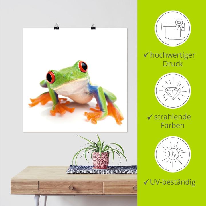 Immagine prodotto Artland Quadro su tela su barella primo piano di una rana di fronte al bianco T5WY 40x40 cm (50x50 cm)