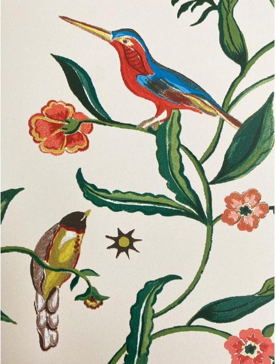 Immagine prodotto Cath Kidston Carta da parati con uccelli (53 x 1000 cm)