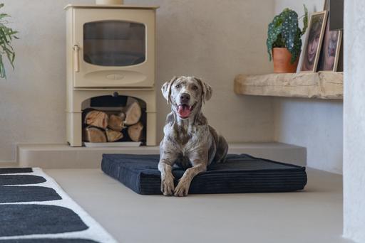 Actual product image Designed by Lotte Orthopaed cage cushion Ribbed (Dog)