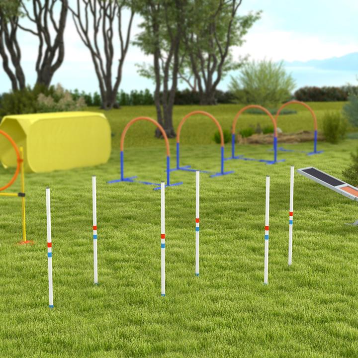 Produktbild PawHut Hundetrainigsset inkl. Tasche (Agility)
