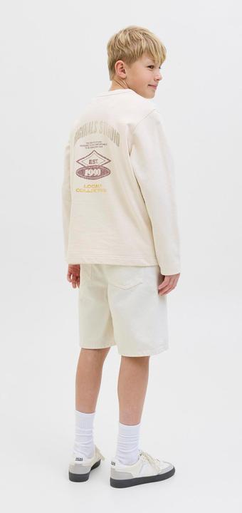 Actual product image Jack & Jones Loose Fit Shorts Junior Shorts (128)