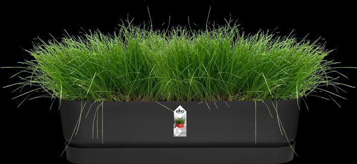 Produktbild Elho Greenville (19.50 cm)