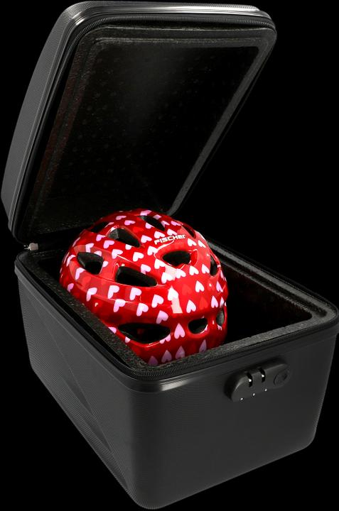 Actual product image Fischer Isolier-Gepäckträgerbox (19 l, Luggage carrier bag)
