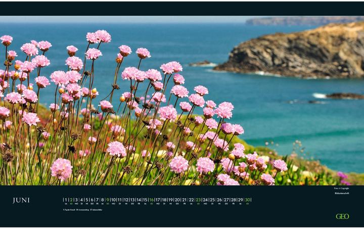 Produktbild Neumann GEO - Augenblicke in der Natur Wandkalender 2025 - Faszinierender Naturfotografie, Elegantes Format (58 x 36 cm, Deutsch)