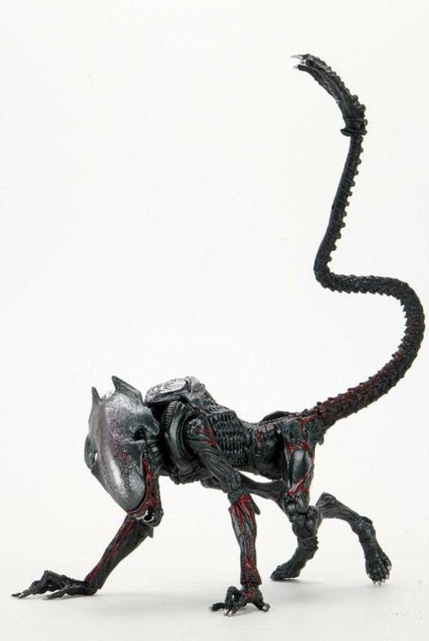 Neca AF Aliens Kenner Cougar Alien