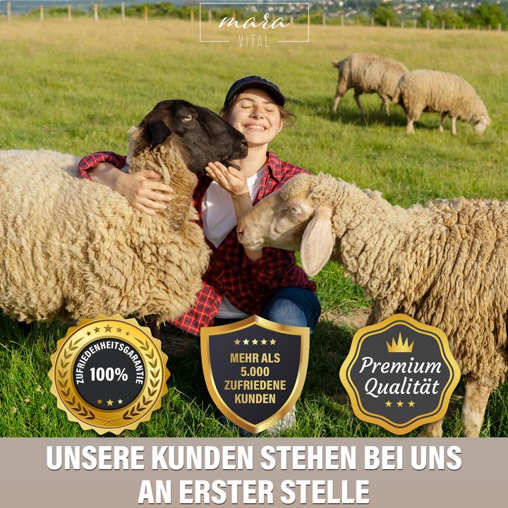 Actual product image Mara Vital Pure new wool pillow (40 x 80 cm)