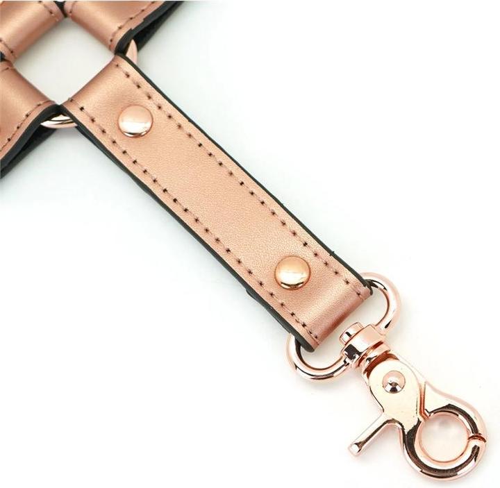 Produktbild Liebe Seele 4er Lederfessel Hogtie mit Clips