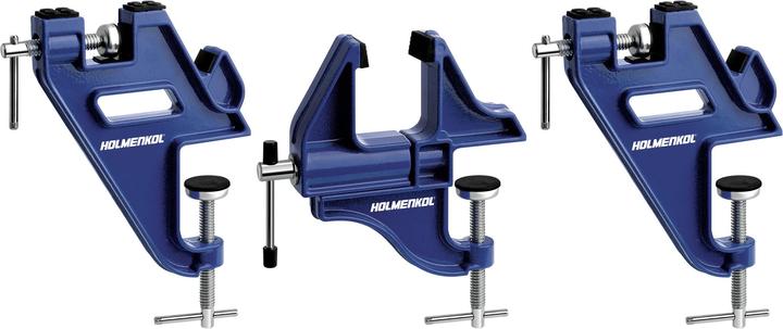 Holmenkol All-In-One 2.0 Spatules à skis (Porte-skis)
