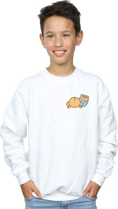 Image du produit Disney - Sweat WINNIE THE POOH BACKSIDE BREAST PRINT - Garçon (152, 158)