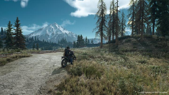 Produktbild Sony Days Gone (PS4, Multilingual)