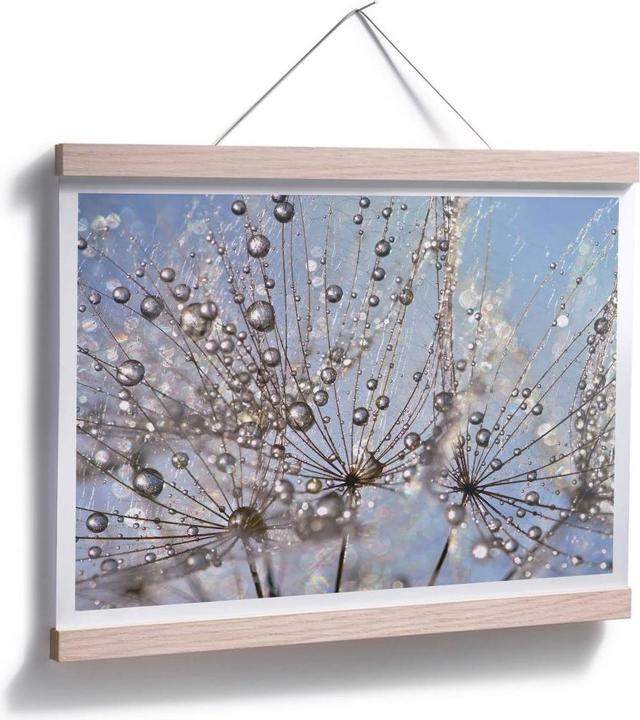 Actual product image Trenddeko Water drop in the dandelion (40 x 30 cm)