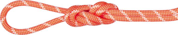Immagine prodotto Mammut Corda da arrampicata 8.0 Alpine Classic (60 m)