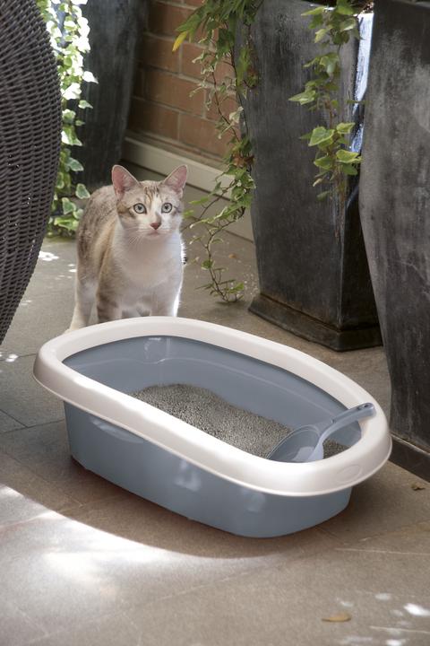 Actual product image Kerbl SPRINT cat litter box with rim (Cat litter tray open)