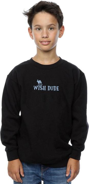 Produktbild Disney Aladdin Wish Dude Sweatshirt Jungen (140, 146)