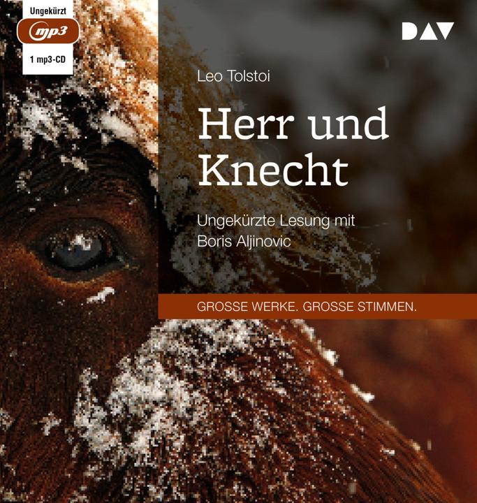 Image du produit Maître et serviteur (Leo N. Tolstoï, Hermann Röhl, Boris Aljinovic, Allemand)