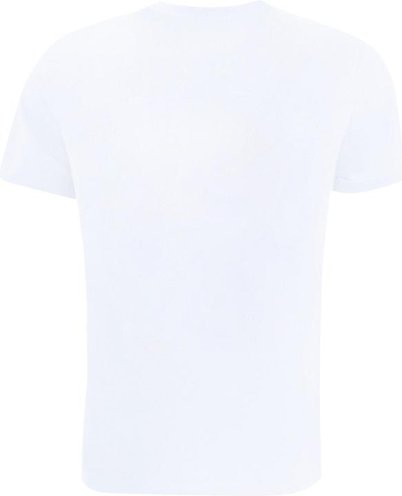 Actual product image Looney Tunes Boys Tasmanian Devil Vintage Cotton T-Shirt (140, 146)