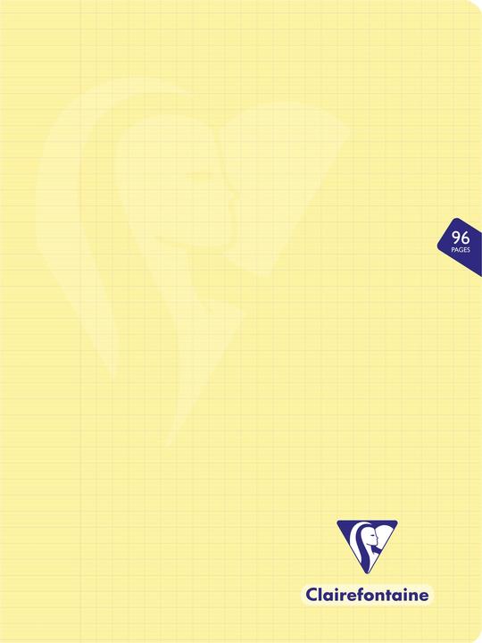 Immagine prodotto Clairefontaine Mimesys (24 x 32 cm, Quadretti, Copertina morbida)