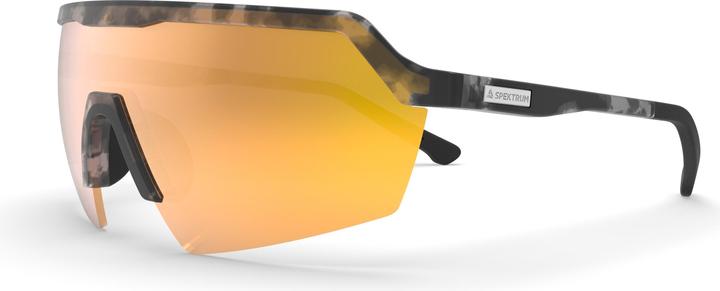 Klinger Sunglasses (Grey Tortoise, Gold)