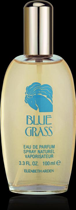 Image du produit Elizabeth Arden Blue Grass (Eau de parfum, 100 ml)