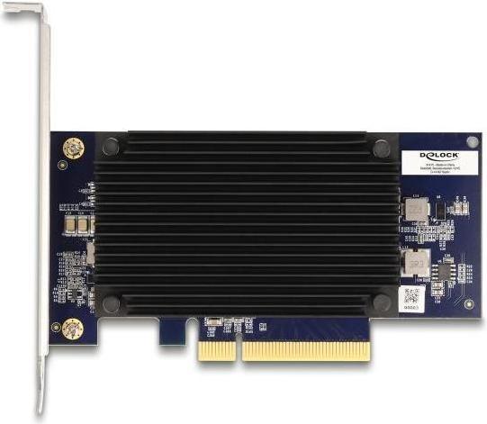 Actual product image Delock PCI Express x8 Hailo-8 AI processor x2 AI acceleration