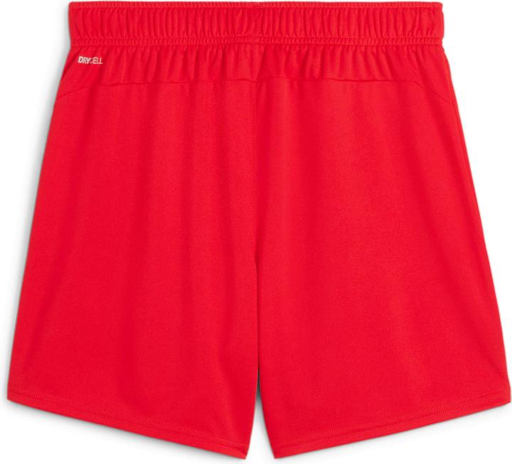Puma teamGOAL Shorts Wmns