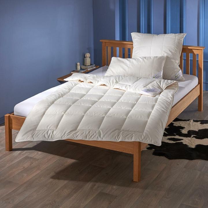 Produktbild Traumschlaf Medium Baumwolle (1600 g, 160 x 210 cm)