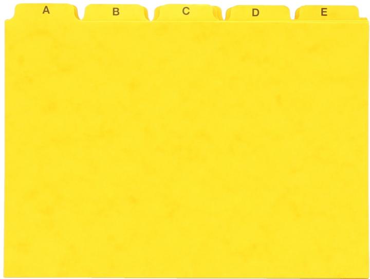 Pagna Kaartindex A5 (A5)