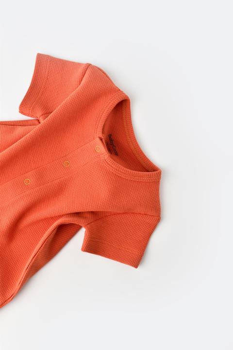 Produktbild BabyCosy Strampler kurze. kurzarm (80)
