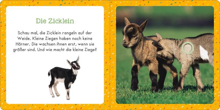Produktbild Soundbuch für Klitzekleine – Bauernhoftiere (Deutsch)