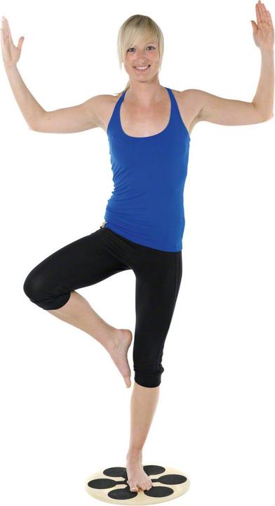 Actual product image Artzt vitality® Wobblesmart® therapy gyroscope