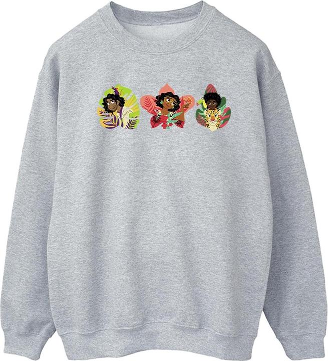 Disney Encanto Family Line Sweatshirt (L)
