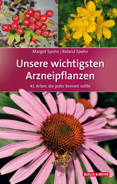 Produktbild Unsere wichtigsten Arzneipflanzen (Deutsch, Margot Spohn, Roland Spohn, 2019)