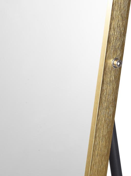 Produktbild SalesFever Spiegel (50 x 160 cm)