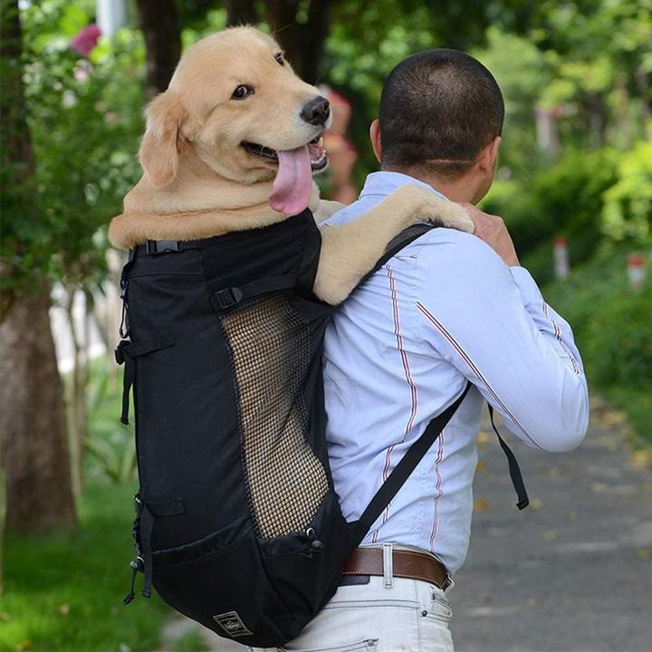 Immagine prodotto WLDOCA Hunderucksack (Cane, Pieghevole, Traspirante, Lavabile)