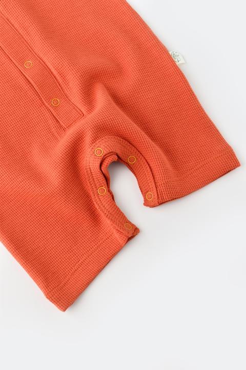 Produktbild BabyCosy Strampler kurze. kurzarm (80)