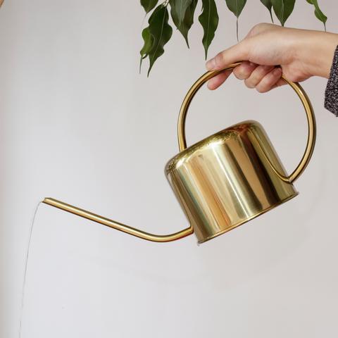 Actual product image Kikkerland Vintage Watering Can (1.20 l)