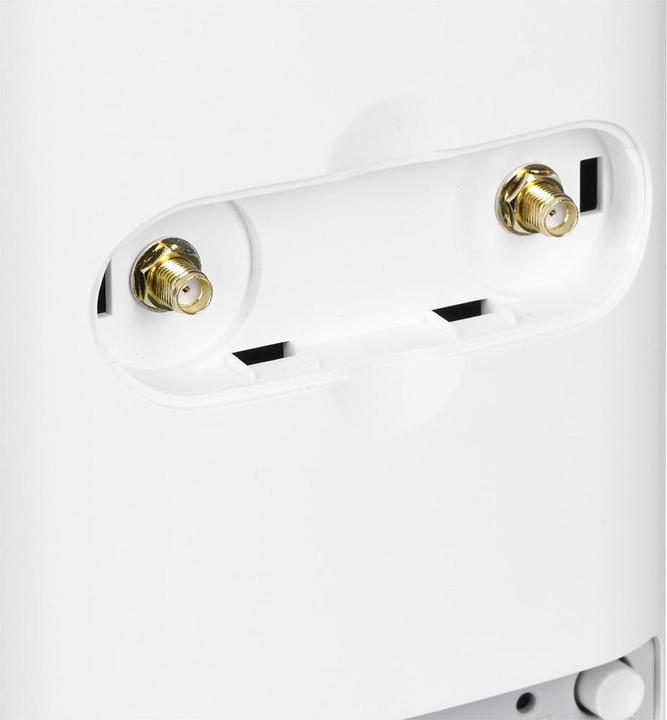 Actual product image Zyxel LTE5388-M804
